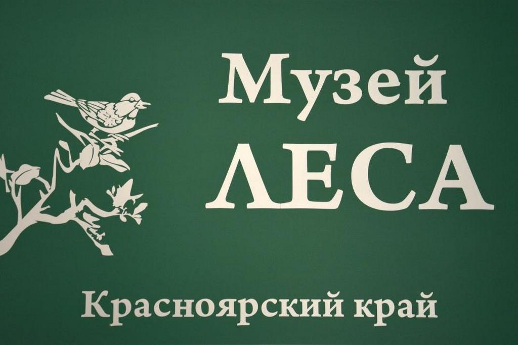 Пришкольные лагеря